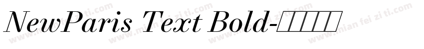 NewParis Text Bold字体转换